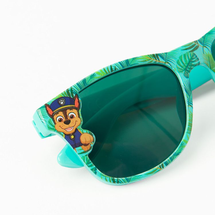 Paw Patrol sunglasses with case