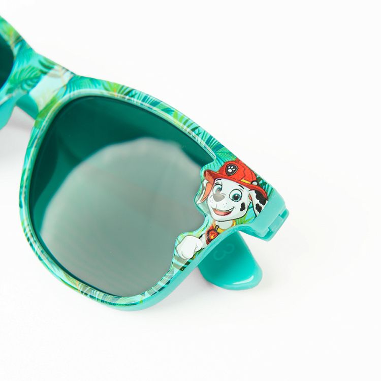 Paw Patrol sunglasses with case